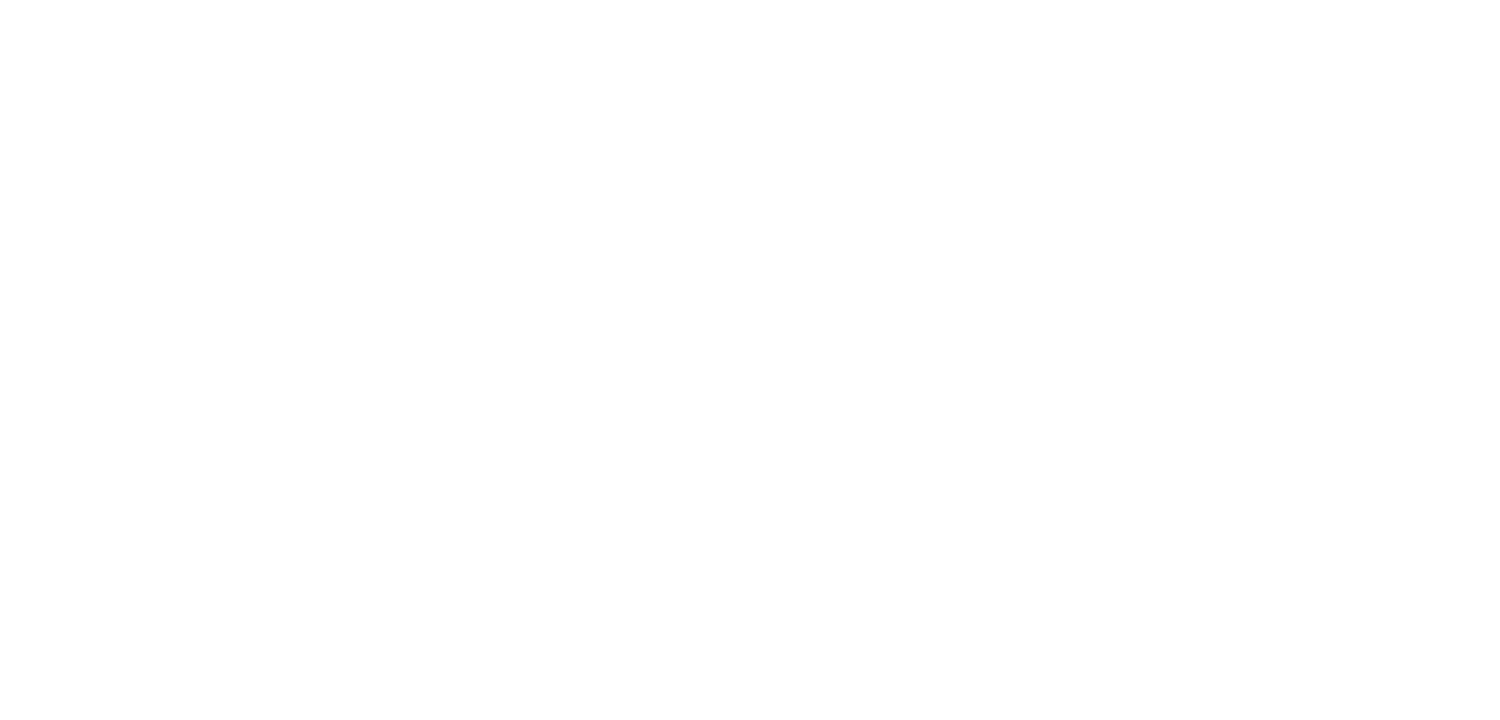 Stride Society
